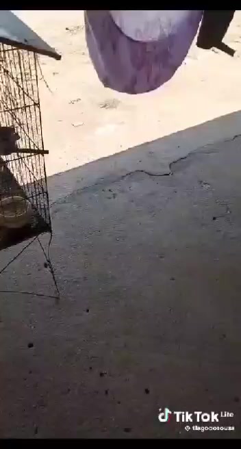 1708469122 905 417604639 1647656259099975 2983026861050104215 n