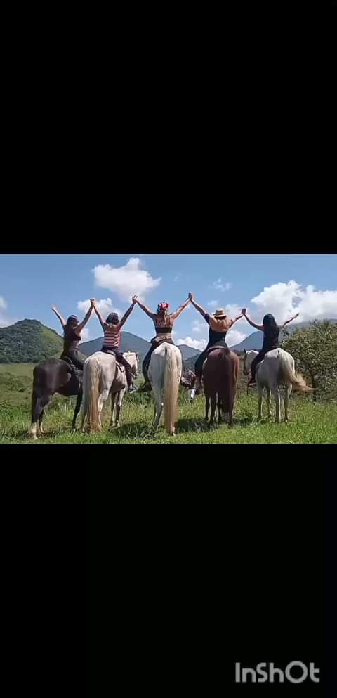 425299230 751723313766480 6526246966099082812 n