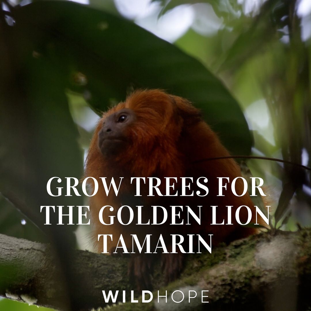 437491954 413441118302117 2729180021513841794 n