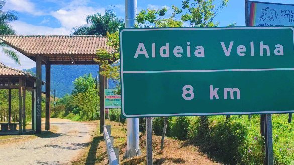 436318942 3760946857517797 480579690388326885 n