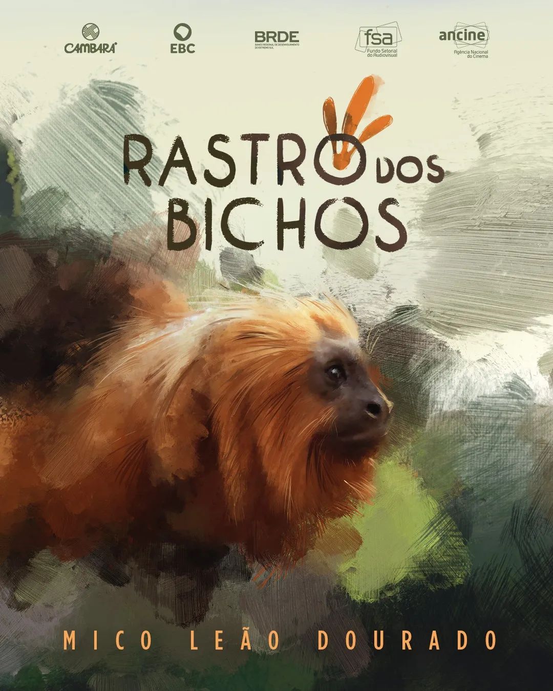 446597797 1118816782547021 3011151193392562067 n