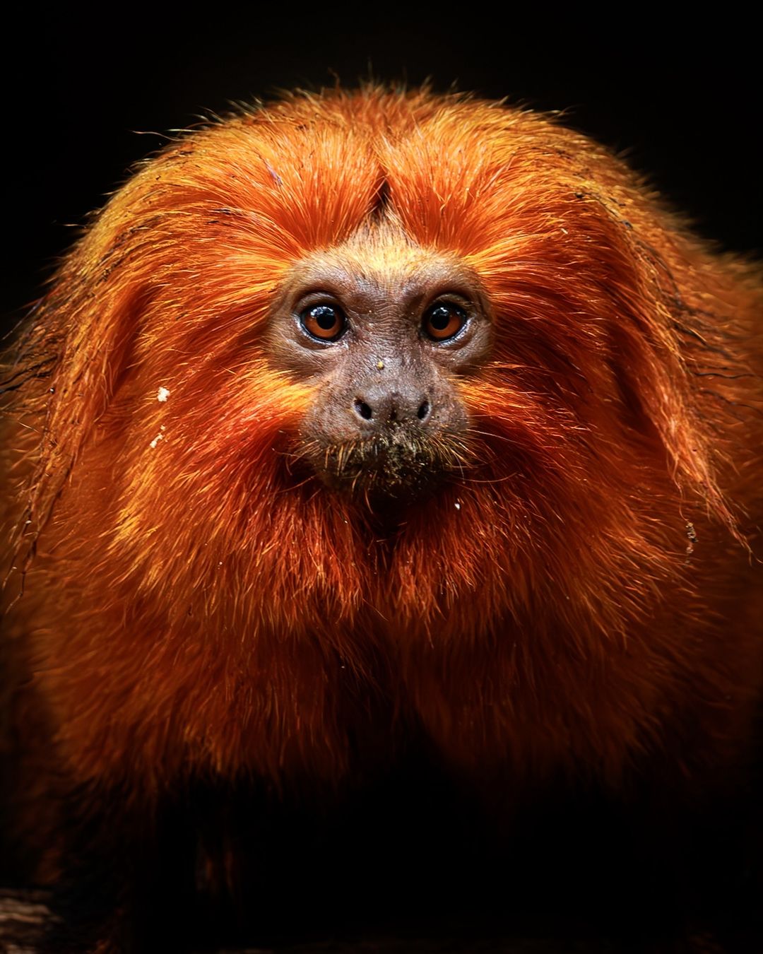 447782937 822876096566218 7341816097841049536 n