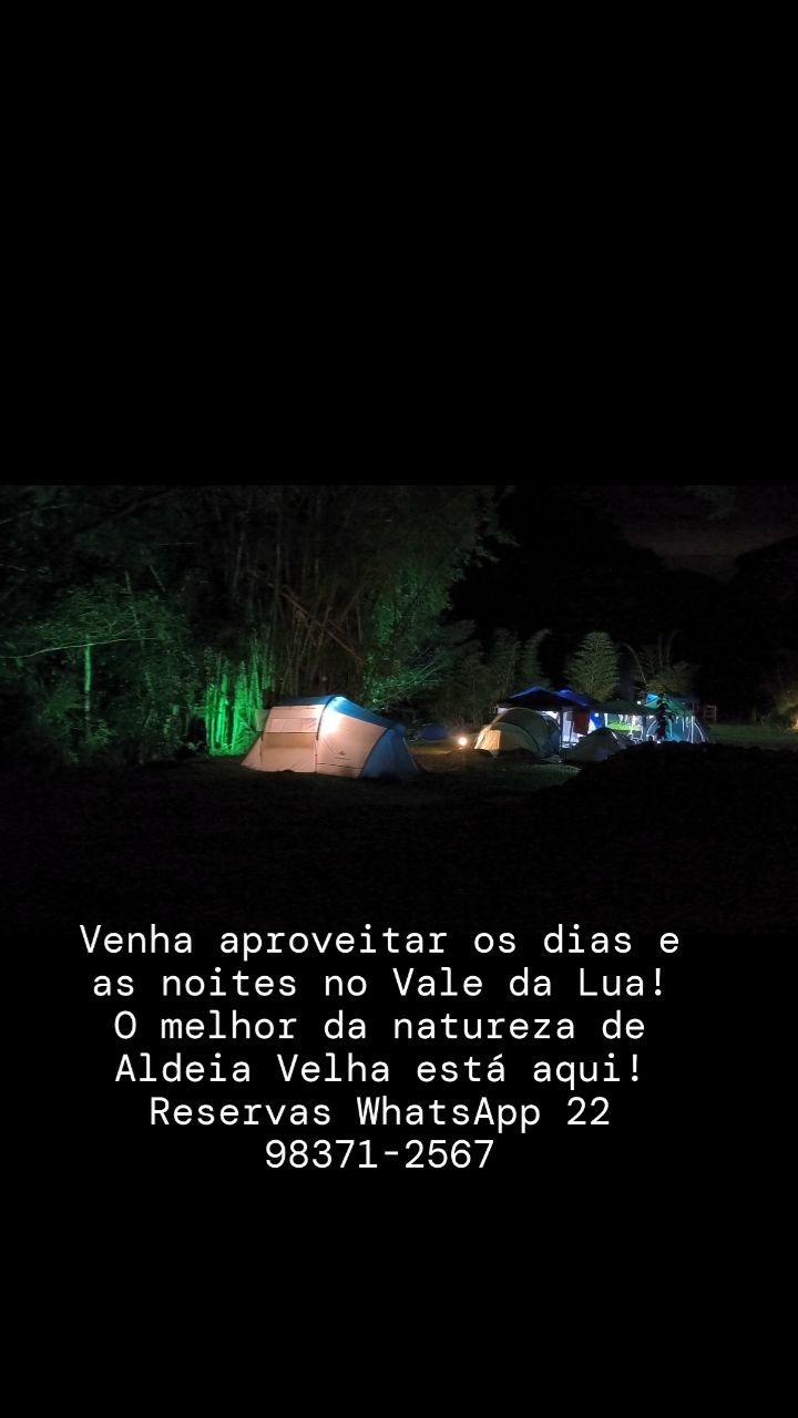 448237840 1147222436361468 1219727377852357282 n