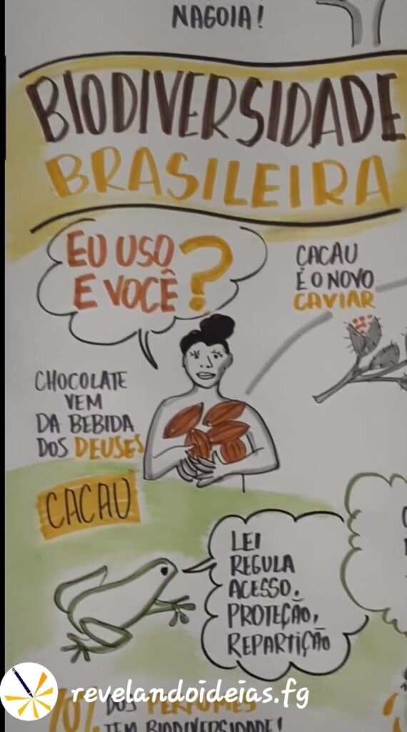 sustetabilidade brasileira revelando ideias