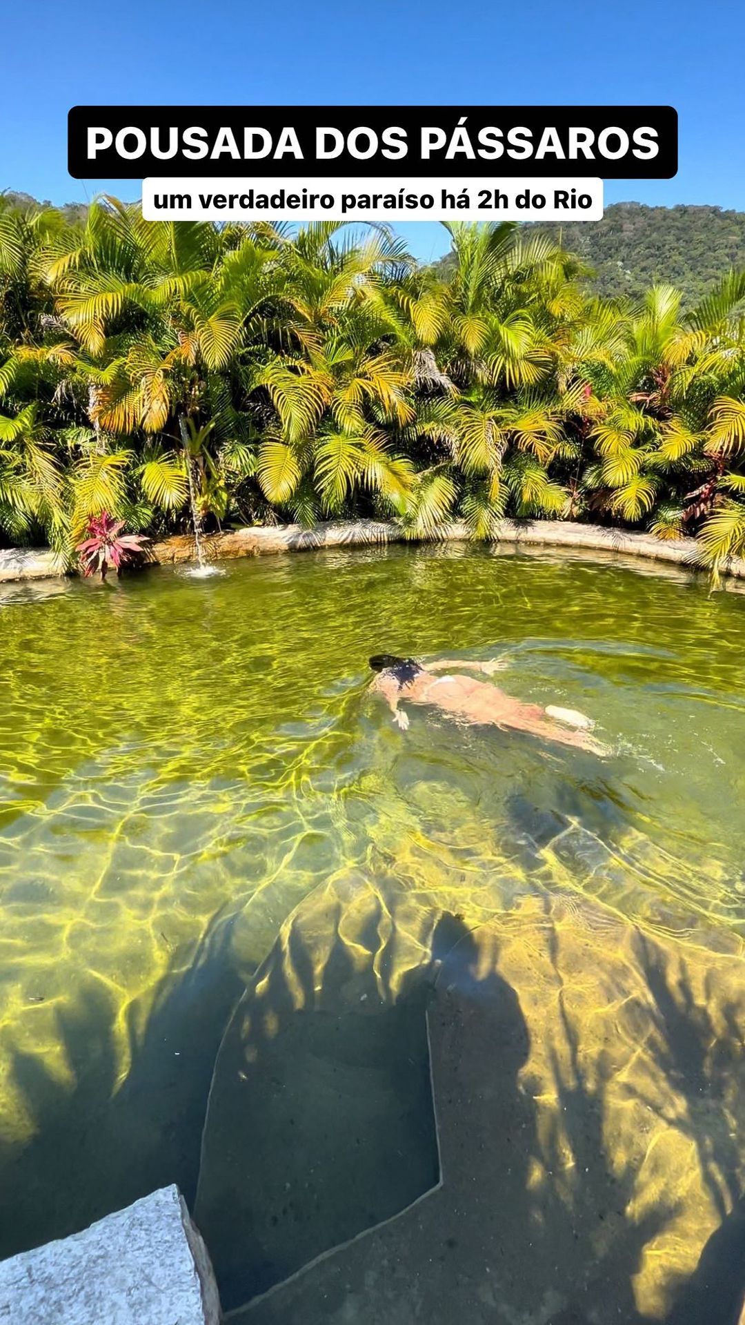 Pousada dos Pássaros - POUSADA DOS PÁSSAROS – @pousada.dospassarosav A pousada possui instalações mod... 1 454254179 808096638191045 3250925882355424113 n